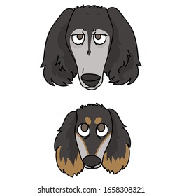 Cute cartoon saluki puppy and dog face breed vector clipart. Pedigree kennel doggie breed for dog lovers. Purebred domestic for pet parlor illustration mascot. Isolated canine borzoi hound. EPS 10. 