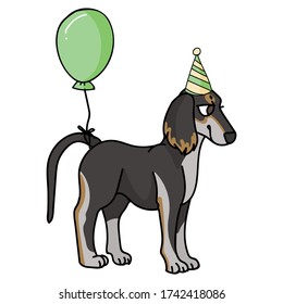 Cute cartoon saluki puppy with party hat vector clipart. Pedigree kennel dog breed for dog lovers. Purebred domestic for celebration illustration mascot. Isolated canine borzoi hound. EPS 10. 