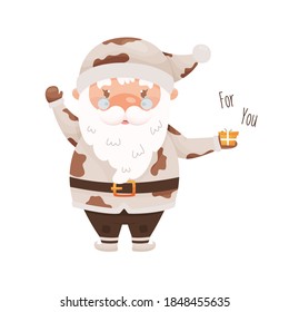 Cute cartoon Santa Claus character with a small gift box, wearing the costume with cow pattern. For Chinese New year of the zodiac ox cow year. Vector illustration.