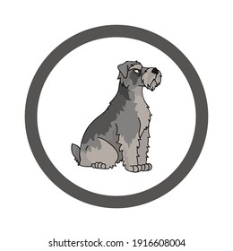 Cute cartoon Schnauzer in circle dog vector clipart. Pedigree kennel doggie breed for kennel club. Purebred domestic dog training for pet parlor. Illustration mascot. Isolated canine. 