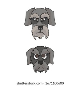 Cute cartoon schnauzer dog and puppy face vector clipart. Pedigree kennel doggie for dog lovers. Purebred domestic terrier for pet parlor illustration mascot. Isolated canine English hunting breed. 