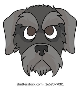 Cute cartoon schnauzer puppy dog face vector clipart. Pedigree kennel doggie breed for dog lovers. Purebred domestic terrier for pet parlor illustration mascot. Isolated canine English hunting breed. 