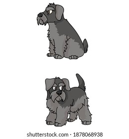 Cute cartoon Schnauzer puppy vector clipart. Pedigree kennel doggie breed for kennel club. Purebred domestic dog training for pet parlor illustration mascot. Isolated canine breed. 