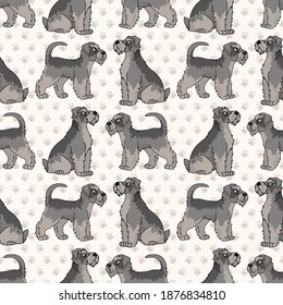 Cute cartoon Schnauzer sitting vector clipart. Pedigree kennel dog breed for obedience training. Purebred domestic puppy for dog show illustration mascot. Isolated canine hunting breed. 