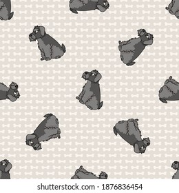 Cute cartoon Schnauzer sitting vector clipart. Pedigree kennel dog breed for obedience training. Purebred domestic puppy for dog show illustration mascot. Isolated canine hunting breed. 