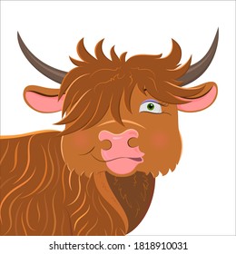 Cute cartoon Scottish longhaired bull. New year greeting card design