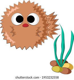 Cute cartoon Sea Hedgehog. Draw illustration in color