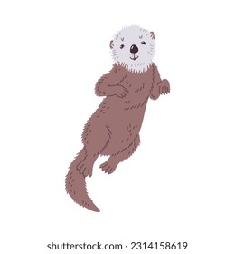 Cute cartoon sea otter swim and smile, front view. Vector illustration of wildlife animal, marine mammal, isolated on white background. Hand drawn design style for printing postcards, books