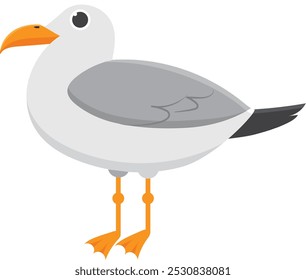 Gaivota de desenho animado bonito com penas cinzentas e brancas, bico laranja vibrante e pernas, de pé em perfil. Perfeito para projetos de vida selvagem, natureza ou costeiros. Isolado sobre fundo branco