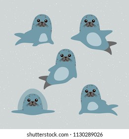Cute cartoon seals set. Vector illustration.