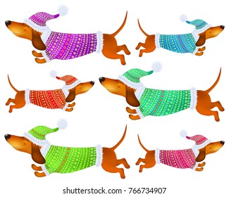 cute cartoon set dachshunds in colorful winter clothes 