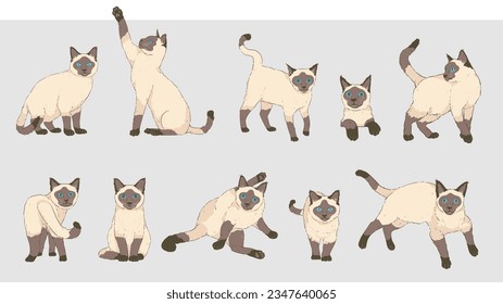 Cute Cartoon siamese Cat set	