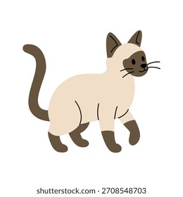 Cute cartoon Siamese cat walking. Flat vector kitten illustration for pet themes, children designs and animal projects