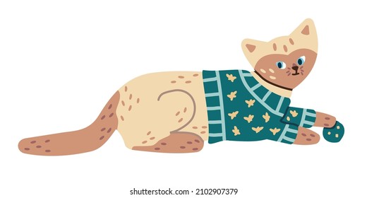 Cute cartoon siamese cat wearing knitted sweater isolated on the white background. Adorable domestic pet with ball play toy. Vector illustration in modern, contemporary doodle flat design. 