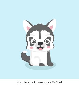 Cute cartoon siberian husky puppy. 