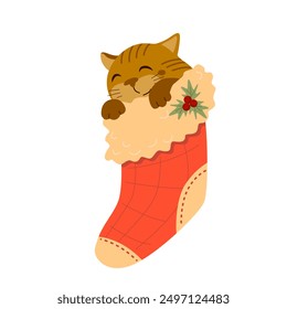 Cute cartoon sleeping cat in a Christmas sock. Funny animal in a stocking isolated on a white background.