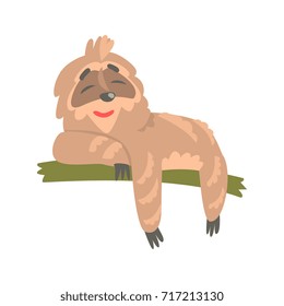Cute cartoon sloth character lying on the tree, funny tropical animal vector Illustration