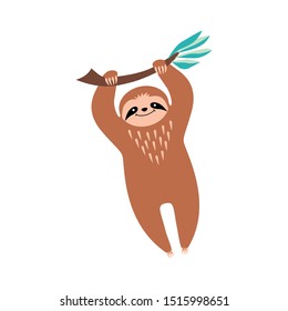 Cute cartoon sloth hanging on a branch. Funny animal isolated on white background. Flat vector illustration.