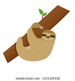Cute cartoon sloth on tree. Vector animal character isolated.