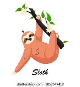 Cute cartoon sloth in a rain forest on a tree branch. Can be used for cards, flyers, posters, t-shirts.