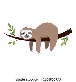 Cute cartoon sloth sleeping on a branch