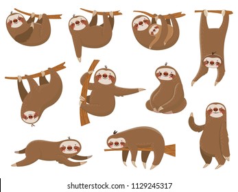 Cute cartoon sloths. Adorable rainforest animals at zoo, mother and baby family on branch, funny parents sloth animal sleeping hanging on jungle tree colorful vector isolated icon set