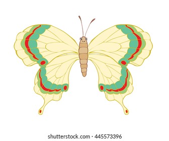 Cute cartoon smiling butterfly isolated on white background. Art vector illustration.