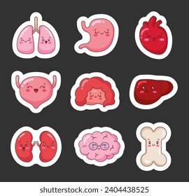 Cute cartoon smiling human organ characters. Sticker Bookmark. Kawaii lung, stomach, heart, bladder, intestine, liver, kidney, brain, bone, with faces. Vector drawing. Collection of design elements.