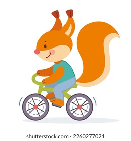 Cute cartoon smiling squirrel characters riding  bicycle. Isolated illustration in flat style. 