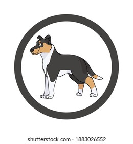 Cute cartoon Smooth Collie in dotty circle dog vector clipart. Pedigree kennel doggie breed for kennel club. Purebred domestic dog training for pet parlor. Illustration mascot. Isolated canine. 