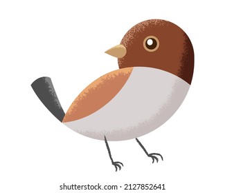 Cute cartoon sparrow isolated on white background.