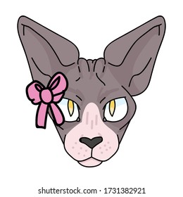 Caricatura de dibujos animados esfínicos de la cara del gato con el vector de arco rosado clíparte. Raza de gatito exótico pedigrí. Gatito doméstico de puré para mascota de ilustraciones de salón de mascotas. Housecat felino sin pelo aislado. EPS 10