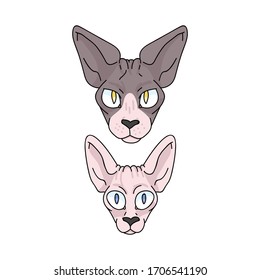 Caricatura pequeña esfilia gato y gatito de cara vectorial clíparte. Cría exótica infantil para los amantes del gato. Domicilio para mascota ilustrativa de salón de mascotas. Housecat felino sin pelo aislado. EPS 10. 