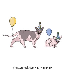 Cute cartoon sphynx cat and kitten with party hat vector clipart. Pedigree exotic breed for cat lovers. Purebred celebration for pet parlor illustration mascot. Hairless feline housecat.EPS 10
