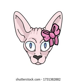 Cute caricatura sphynx gatito cara con arco rosado vector clipart. Raza de gatito exótico pedigrí. Gato doméstico de Purebred para mascota ilustrativa de salón de mascotas. Housecat felino sin pelo aislado. EPS 10