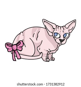 Cute cartoon sphynx kitten with pink bow vector clipart. Pedigree exotic kitty breed for cat lovers. Purebred domestic cat for pet parlor illustration mascot. Isolated hairless feline housecat. EPS 10