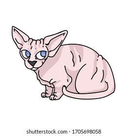 Cute cartoon sphynx kitten vector clipart. Pedigree exotic kitty breed for cat lovers. Purebred domestic cat for pet parlor illustration mascot. Isolated hairless feline housecat. EPS 10. 