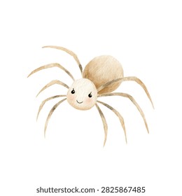 Cute cartoon spider and