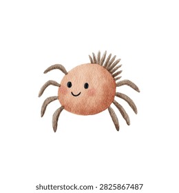 Cute cartoon spider and