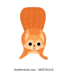 Cute cartoon squirrel with big tail. Front view. Funny woodland character isolated on white background. Vector illustration.