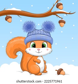 Cute cartoon squirrel in blue hat and oak tree with acorns. Winter vector illustration of animals on a blue background with snow.