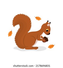 Cute cartoon squirrel with ear tufts and fluffy tail holding acorn. Vector design element. Flat illustration isolated on white background