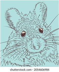 Cute cartoon squirrel . Funny little  squirrel collection. . Cartoon animal character design. Flat vector illustration 