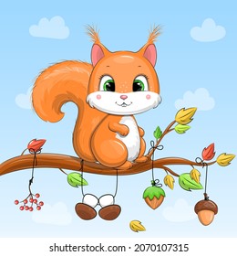 Cute cartoon squirrel harvested an acorn, nut mushrooms and berries on a tree. Autumn vector illustration on a blue background with clouds.