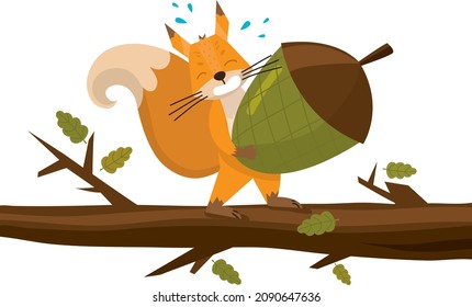 Cute cartoon squirrel Holding Acorn at a branch . Funny little brown squirrel collection. Emotion little animal. Cartoon animal character design. Flat vector illustration isolated on white background.