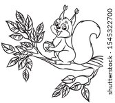 Cute cartoon squirrel with a nut sitting on branch. Isolated vector Illustration on a white background. Outlined for coloring book. 
