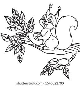 Cute cartoon squirrel with a nut sitting on branch. Isolated vector Illustration on a white background. Outlined for coloring book. 
