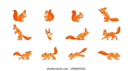 Cute cartoon squirrel set. Funny forest wild animals running standing and jumping squirrel clip art collection. A character in various poses of cartoon design, isolated on a white background.