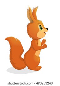 Cute cartoon squirrel sitting and smiling  isolated on white background.
