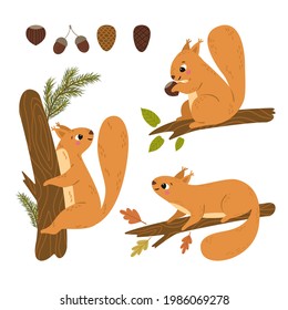 Cute Cartoon Squirrel Sitting In Various Poses On A Tree Or Fir Tree. Food For Squirrels: Acorns, Cones, Hazelnuts. Vector Set On A White Background In A Children's Style